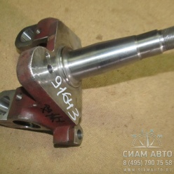 ����� ����� (91643)