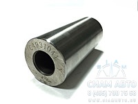 ����� ��������� ���3116 7�-3901 (���00008)