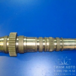 ��� ������� [2071080554] / ��� (10951)