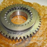 Шестерня вала вторичного/ 1268304008 / S6-90 (Z00069) Шестерня вала вторичного/ 1268304008 / S6-90 (Z00069)