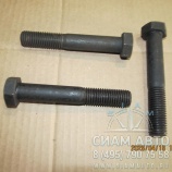 ���� M19*2,5*120 ������������ �������� ����� KINGLONG XMQ6129/HIGER KLQ6119/6129 (30775)