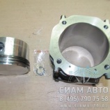 ��������� ������ ����������� / 4421300008 (�00055)