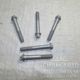 ���� / 01181444 (80175)