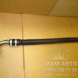   - XML6129    (20270)