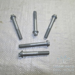 ���� / 01181444 (80175)