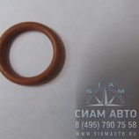  .   3882589 ISLe  2 (00378)