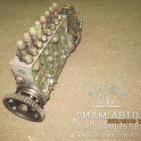 ����� ���� / 0401848797 / OM422 (�00095)