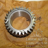 �������� 6 �������� ���� ����������/ 1166304056 /  S6-160 (Z00197)