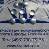 Заглушка ГБЦ 26,0 мм / 3914035 (С00840) Заглушка ГБЦ 26,0 мм / 3914035 (С00840)