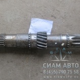 ��� ������������� ��� [341-210121] [2016840124] /2.05.01 (10102)