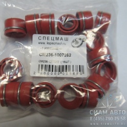 ������� (12�21��) ���. ����. ���������� ����. (��.16 ��.) \ 236-1007262 (90976)