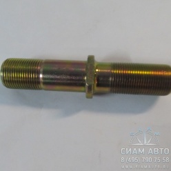 ���� ������ �������� ������� XML6129 (20445)