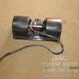    100W (6938HB9, 6118HGA  ) 8101-01728 (Y00261)