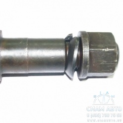 ���� ������ ������ ������� + ����� + ������ 116 ��. [341-339091] / ������ (10078)