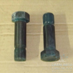 ���� ���������� �������� [2052011704] (10983)