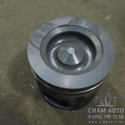 ������� 5302254 2������ (�00955)