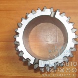  5- .  18/29 D.-70  46  XML6129 (20301)