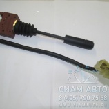 ����� ������� (������) (20549)