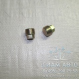 Пробка конусная М24х1.5-sw17/ 0736303005 / S6-160 (Z00174) Пробка конусная М24х1.5-sw17/ 0736303005 / S6-160 (Z00174)