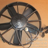    XML6129 (20282)