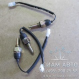 ������ ������� ���� ����� Hardy (�00061)