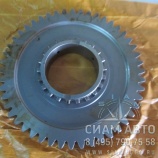 �������� 1-� �������� QJ1205 1280304055 (Z00268)