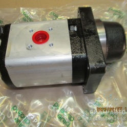 Гидромотор PHP20.25DO-55W9-LBM/BL-V-L-AV (61646) Гидромотор PHP20.25DO-55W9-LBM/BL-V-L-AV (61646)