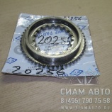 Диск синхронизатора 109304017 1 XML6129 (20256) Диск синхронизатора 109304017 1 XML6129 (20256)