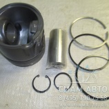 ������� �-� / 4955337 ISBe (�00804)