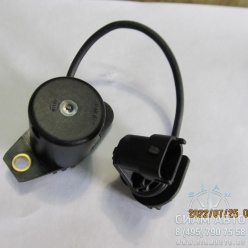 ������ ������ �����  / 6235686 / 55353335 (90611)