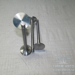 ������ �����. CY4102BZLQ (20573)
