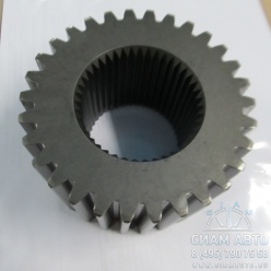 �������� ��������� ��������� / 42064799 (90504)