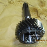 ��� ��������� / 1310302089 (Z00383)