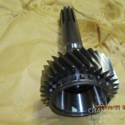 ��� ��������� / 1310302089 (Z00383)