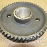 Шестерня р/вала с втулкой в сб.(z=53) ПАЗ /ММЗ/ (61202) Шестерня р/вала с втулкой в сб.(z=53) ПАЗ /ММЗ/ (61202)