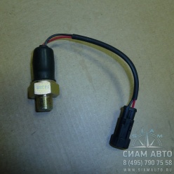 ������ ���� �������� XML6129 (20206)