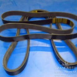 ������ 8��1816(1820) (20008)