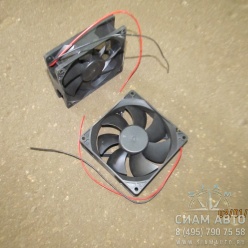 ����� ����� ������ 24V  0.3AZK  8101-03596 (Y00297)