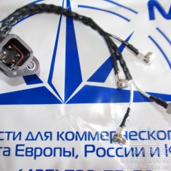 ���� �������� �� ��� �������� ISBe / 3287699 (�00853)