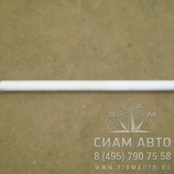 ���� �������� ��������� [2021210254] [341-500411] L-753 (10954)