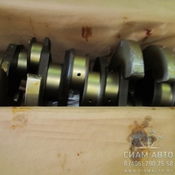 ��� ���������� ����. ��441 A/LA (�00334)