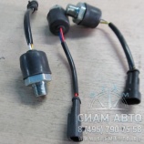 ������ ������� �-17  LCK6127  V23234-A0004-Y055 (�00007)