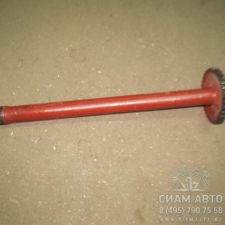 ��� ������� ����� (�������) �������� 15 �. / ���� 19 �� [341-320210][2020510274] (10026)