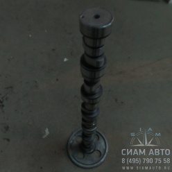    CAT 3116 100-6298  /100-6300/ (00036)