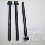 Болт ГБЦ 4940194 18шт (А+) (С00690) Болт ГБЦ 4940194 18шт (А+) (С00690)