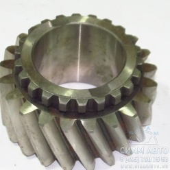 �������� �������� �����. 21/22 ���. [341-211149] [2017280294] (10487)