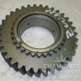 �������� 3-�� �������� (Z00337)