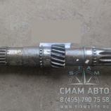 ��� ������������� ���  [341-210122] [2016840134] /2.05.86 (10867)