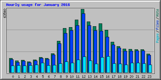 Hourly usage for January 2016