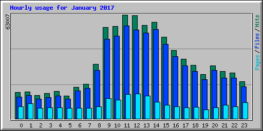 Hourly usage for January 2017